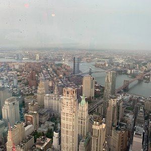 Meet your Posher, Roscoe